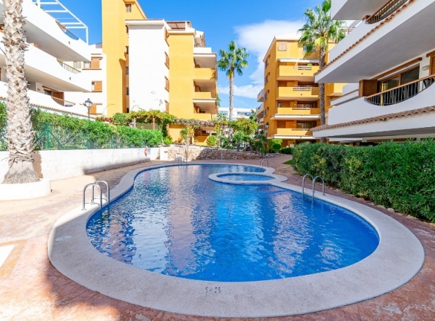 Resale - Apartment - Punta Prima - la entrada