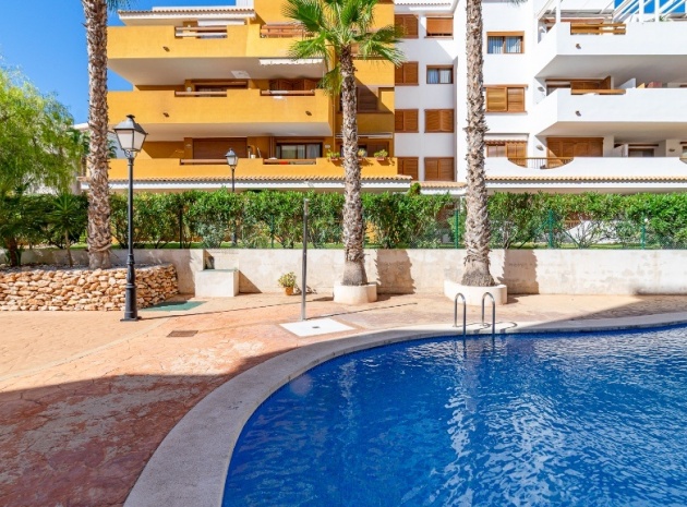 Resale - Apartment - Punta Prima - la entrada