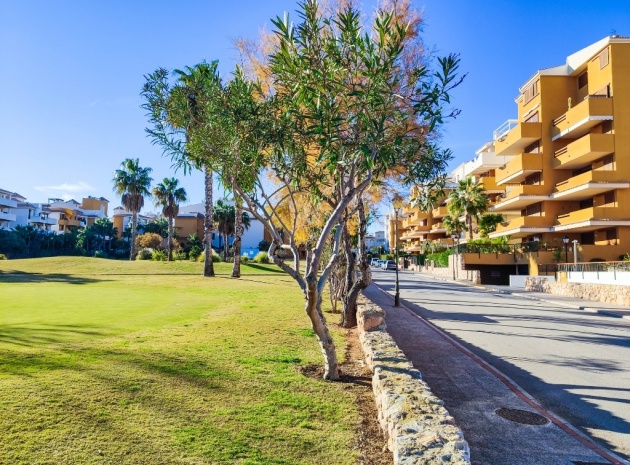 Resale - Apartment - Punta Prima - la entrada