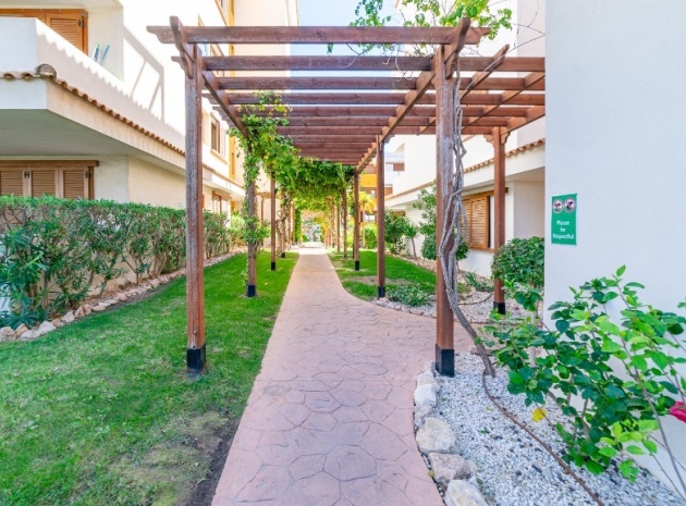 Resale - Apartment - Punta Prima - la entrada