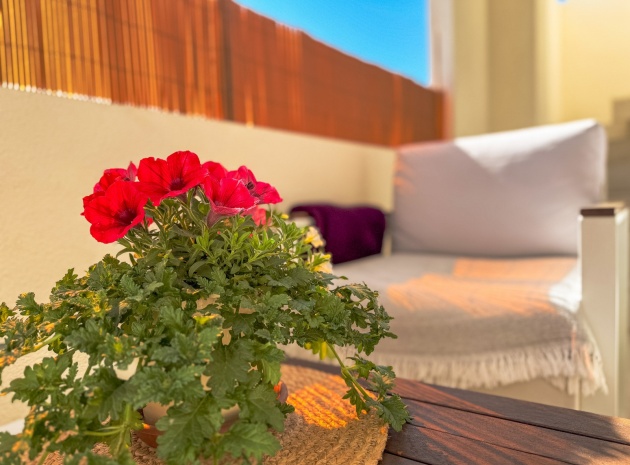 Resale - Apartment - Los Altos - dream hills