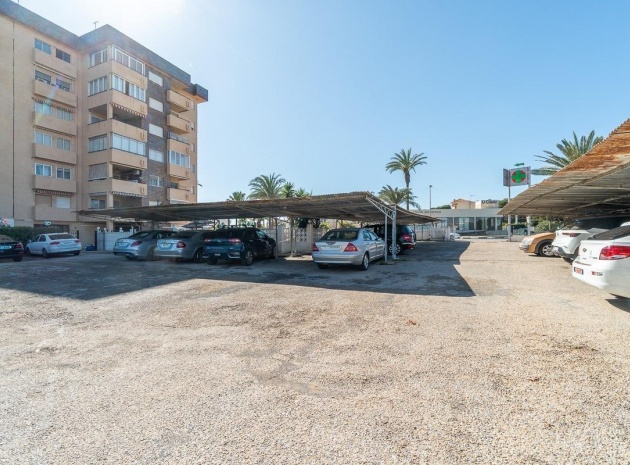 Wiederverkauf - Wohnung - La Zenia - beachside