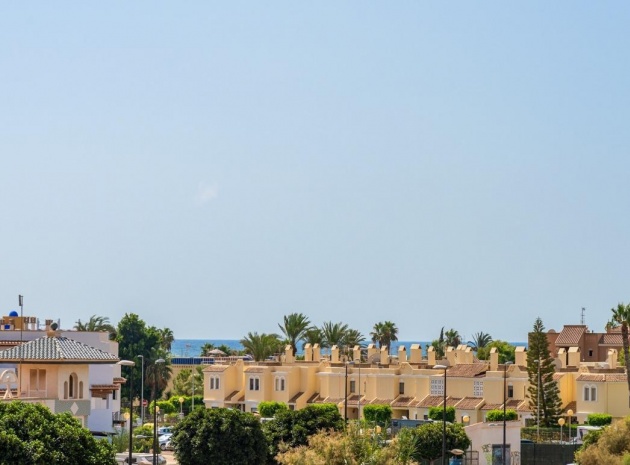 New Build - Villa - Vera - Vera Playa