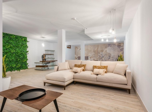 New Build - Villa - Vera - Vera Playa