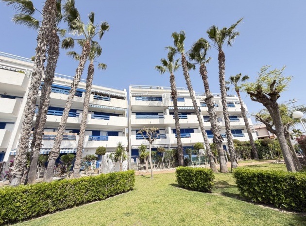 Återförsäljning - Lägenhet - Playa Flamenca - la calma