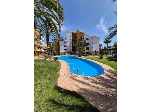Revente - Appartement - Punta Prima - la entrada