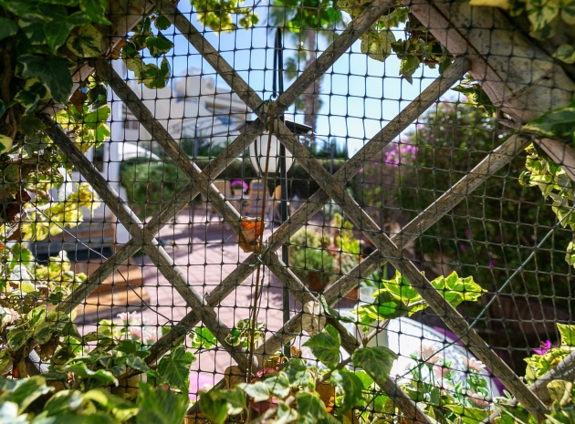 Resale - Apartment - Playa Flamenca - jumilla