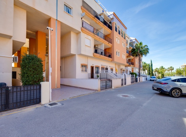 Resale - Apartment - Playa Flamenca - parque del duque