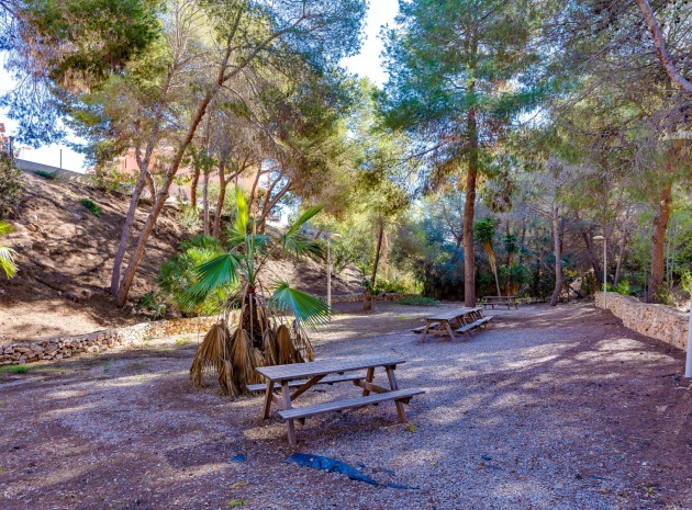 Resale - Apartment - Playa Flamenca - parque del duque