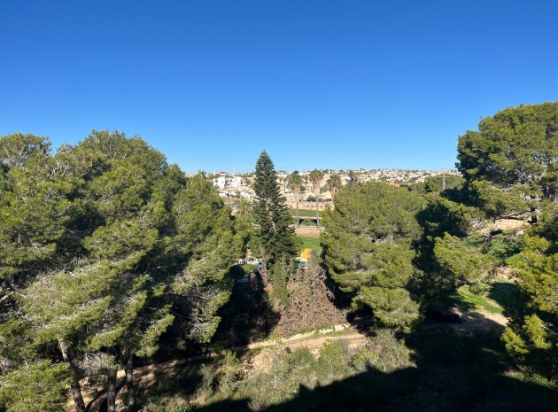 Resale - Apartment - Ciudad Quesada - Lo Pepin