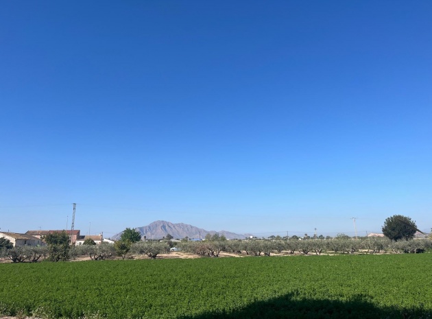 Wiederverkauf - Stadthaus - Catral