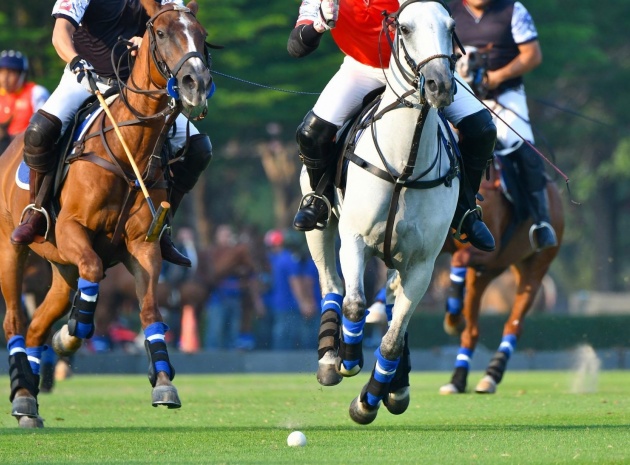 New Build - Apartment - Manilva - Bahia De Las Rocas