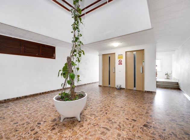 Resale - Apartment - Punta Prima - beachside punta prima