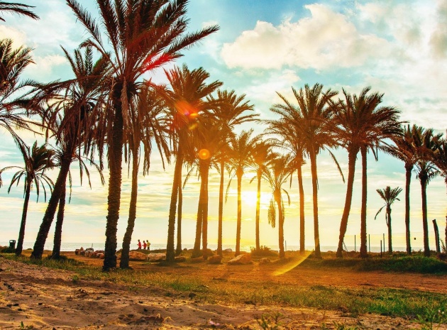 Resale - Apartment - Punta Prima - beachside punta prima