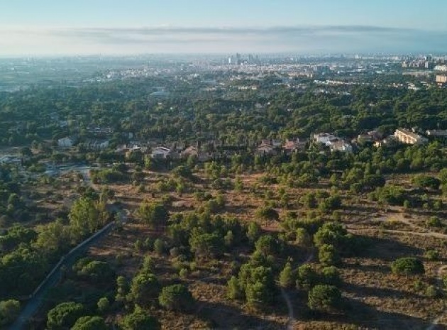 Neubau - Wohnung - Godella - Campolivar