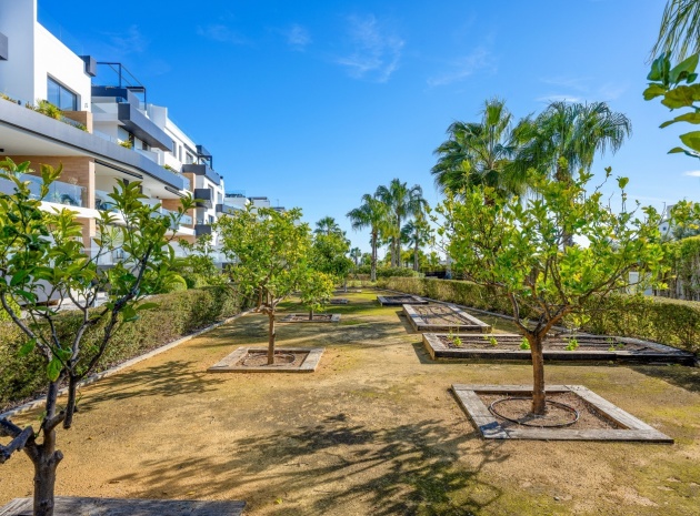 Resale - Apartment - Villamartin - Los Dolses