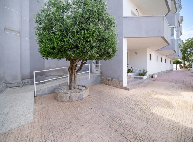 Wiederverkauf - Wohnung - Cabo Roig - la regia