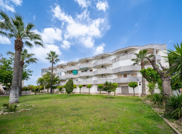 Wiederverkauf - Wohnung - Cabo Roig - la regia