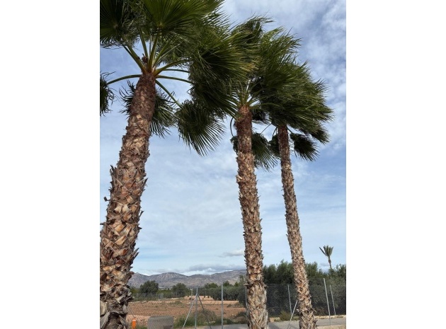 Resale - Villa - Crevillente - crevillente