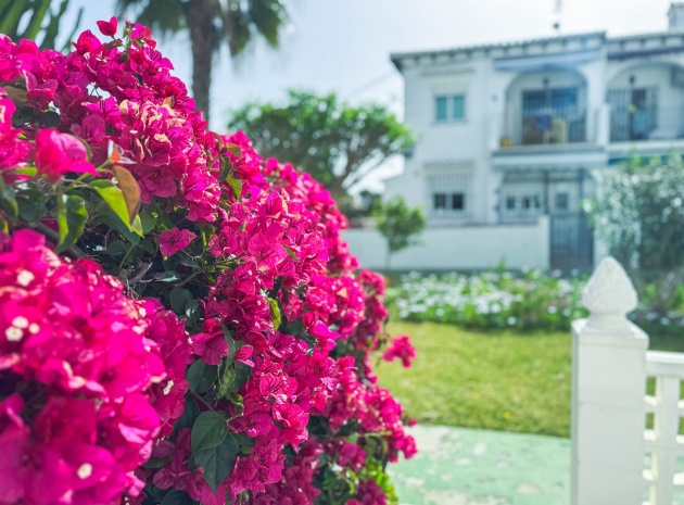 Resale - Apartment - Los Balcones - lago jardin