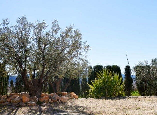 Återförsäljning - Villa - Pinoso
