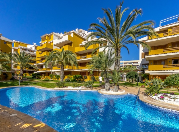 Revente - Appartement - Punta Prima - la entrada