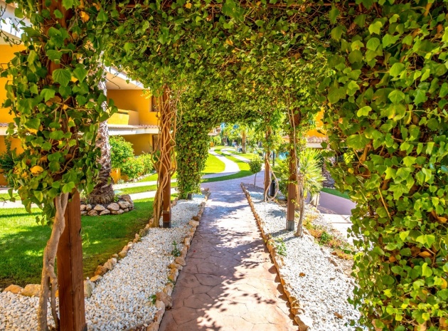Revente - Appartement - Punta Prima - la entrada
