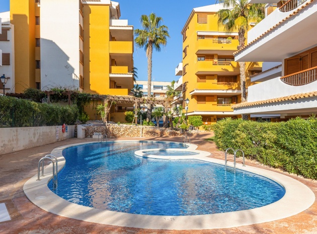 Revente - Appartement - Punta Prima - la entrada