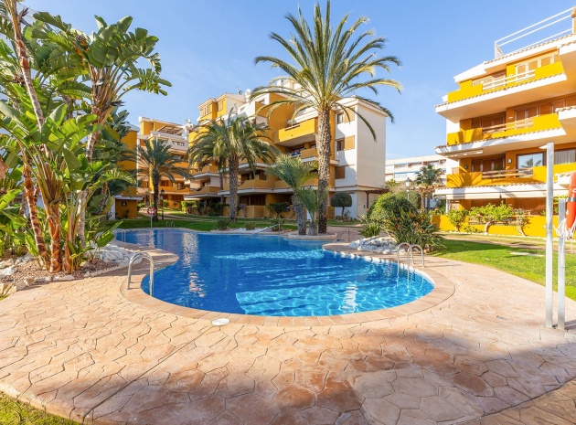 Revente - Appartement - Punta Prima - la entrada