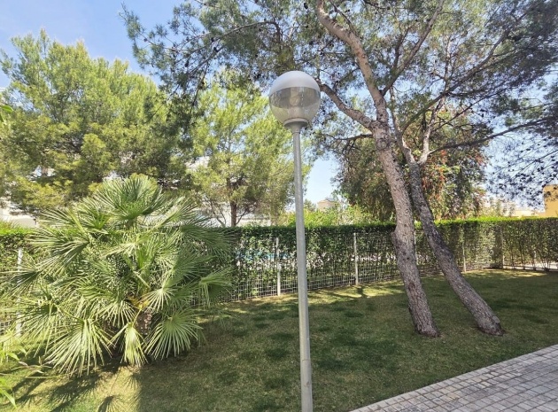Wiederverkauf - Wohnung - Villamartin - Los Dolses