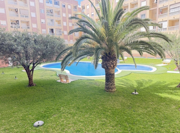 Wederverkoop - Appartement - Torrevieja