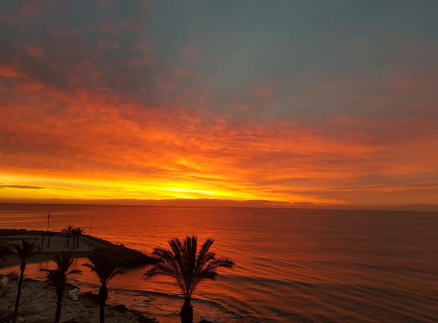 Wiederverkauf - Wohnung - Torrevieja - 1st line to the sea