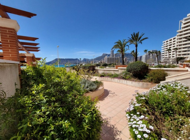 Wiederverkauf - Wohnung - Calpe - Calpe Centro