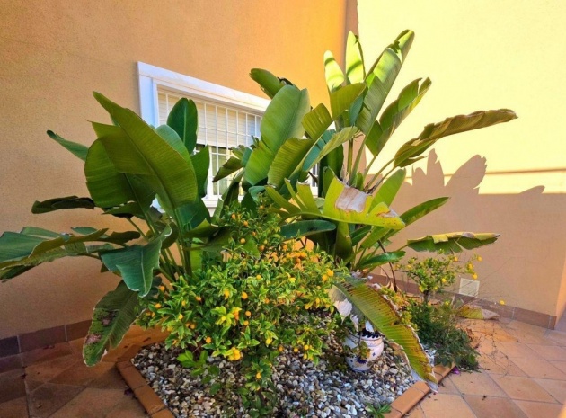 Återförsäljning - Villa - Orihuela - Campoamor