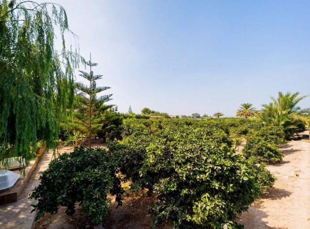 Revente - Country Property - Almoradi - Almoradi Centro