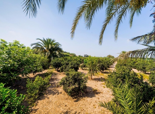 Revente - Country Property - Almoradi - Almoradi Centro