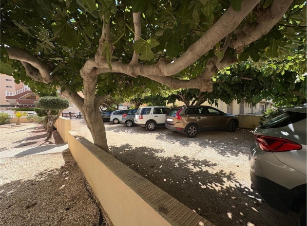 Återförsäljning - Lägenhet - Torrevieja - La Mata
