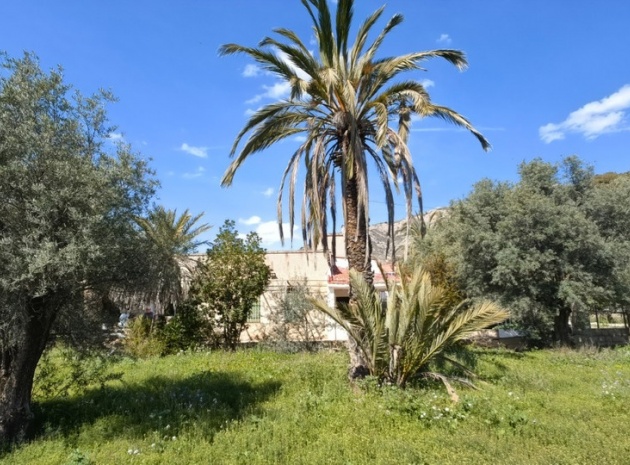 Wederverkoop - Country Property - Elda - Elda Centro