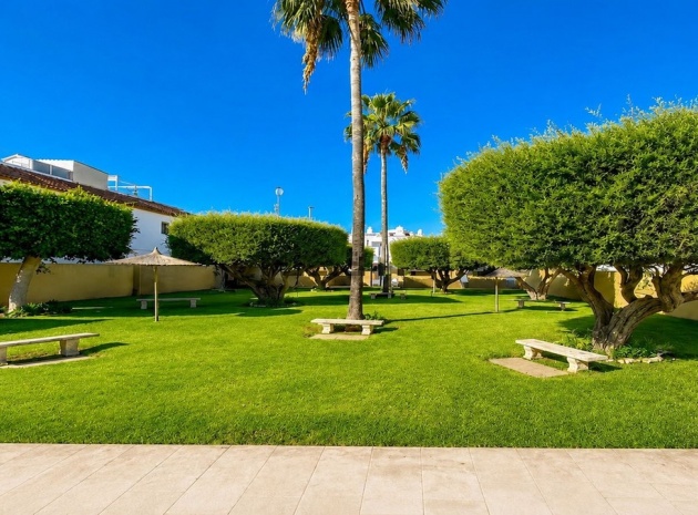 Revente - Maison de ville - Torrevieja - Torrevieja Centro