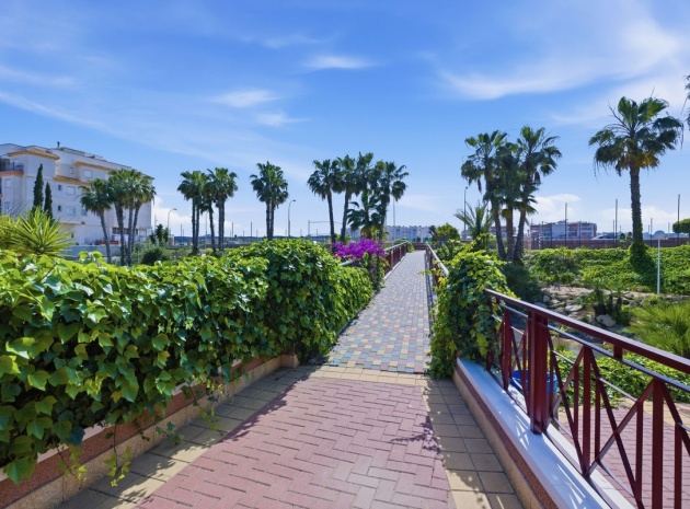 Wederverkoop - Appartement - Orihuela - Playa Flamenca