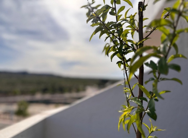 Resale - Apartment - San Miguel de Salinas - San Miguel