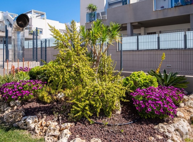 Resale - Apartment - Torrevieja - Aguas Nuevas