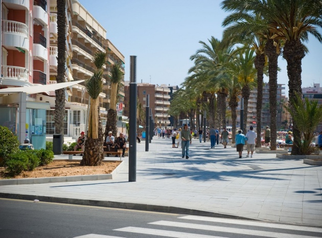 Revente - Appartement - Torrevieja - Torrevieja Centro