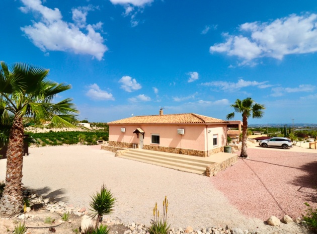 Wiederverkauf - Villa - Albatera - Albatera Centro