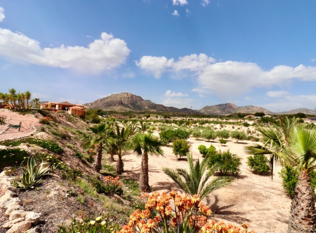 Wiederverkauf - Villa - Albatera - Albatera Centro