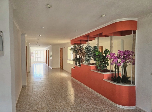 Wederverkoop - Appartement - Torrevieja - Torrevieja Centro