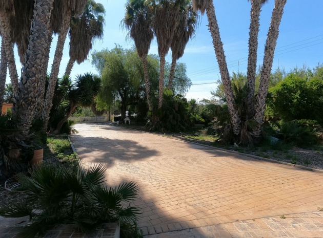 Wiederverkauf - Villa - Dolores - Dolores Centro