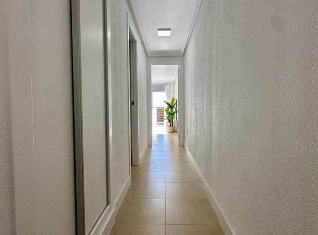 Revente - Appartement - Torrevieja - Torrevieja Centro