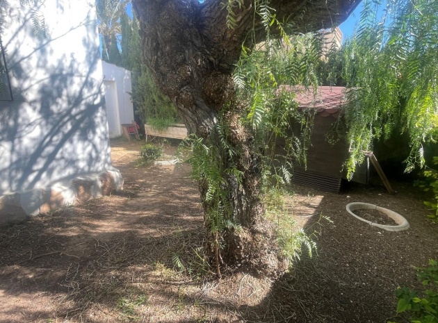 Resale - Villa - Orihuela - Cabo Roig