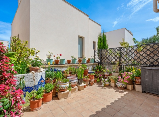 Wiederverkauf - Stadthaus - San Miguel de Salinas - San Miguel de Salinas Centro